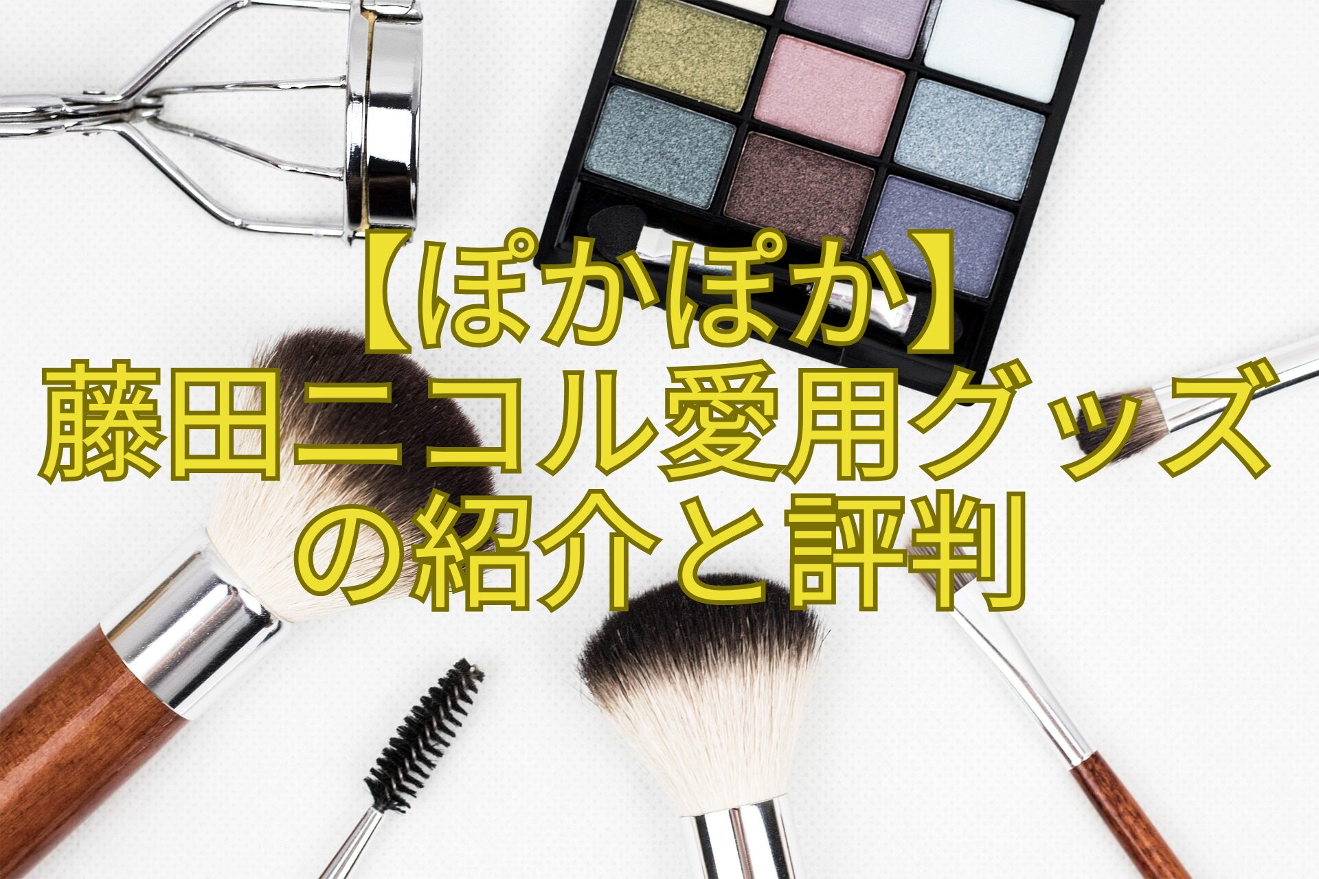 【ぽかぽか】-藤田ニコル愛用グッズ-の紹介と評判