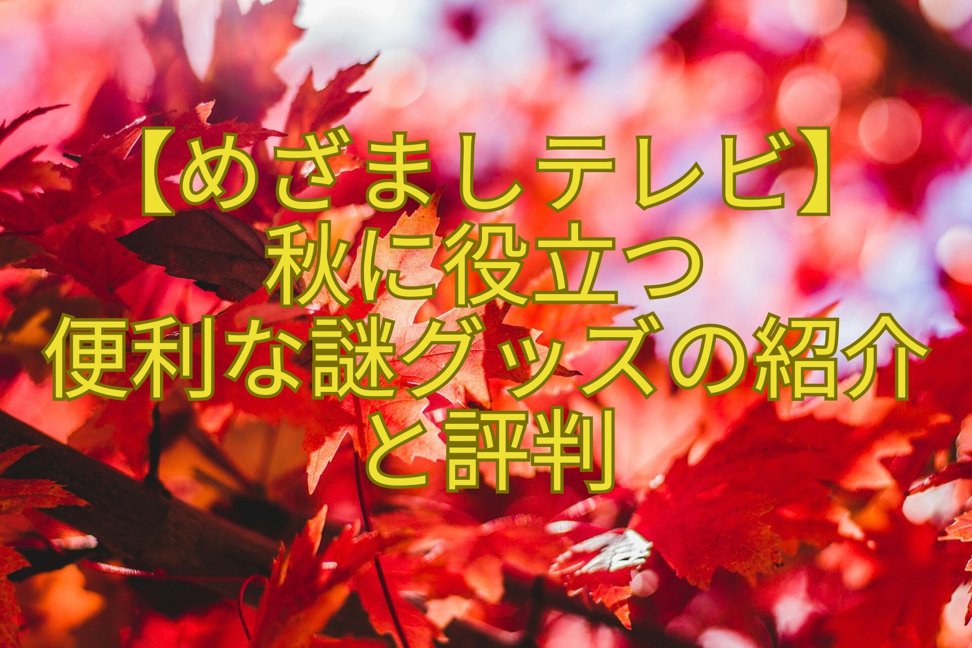 【めざましテレビ】-秋に役立つ-便利な謎グッズの紹介-と評判