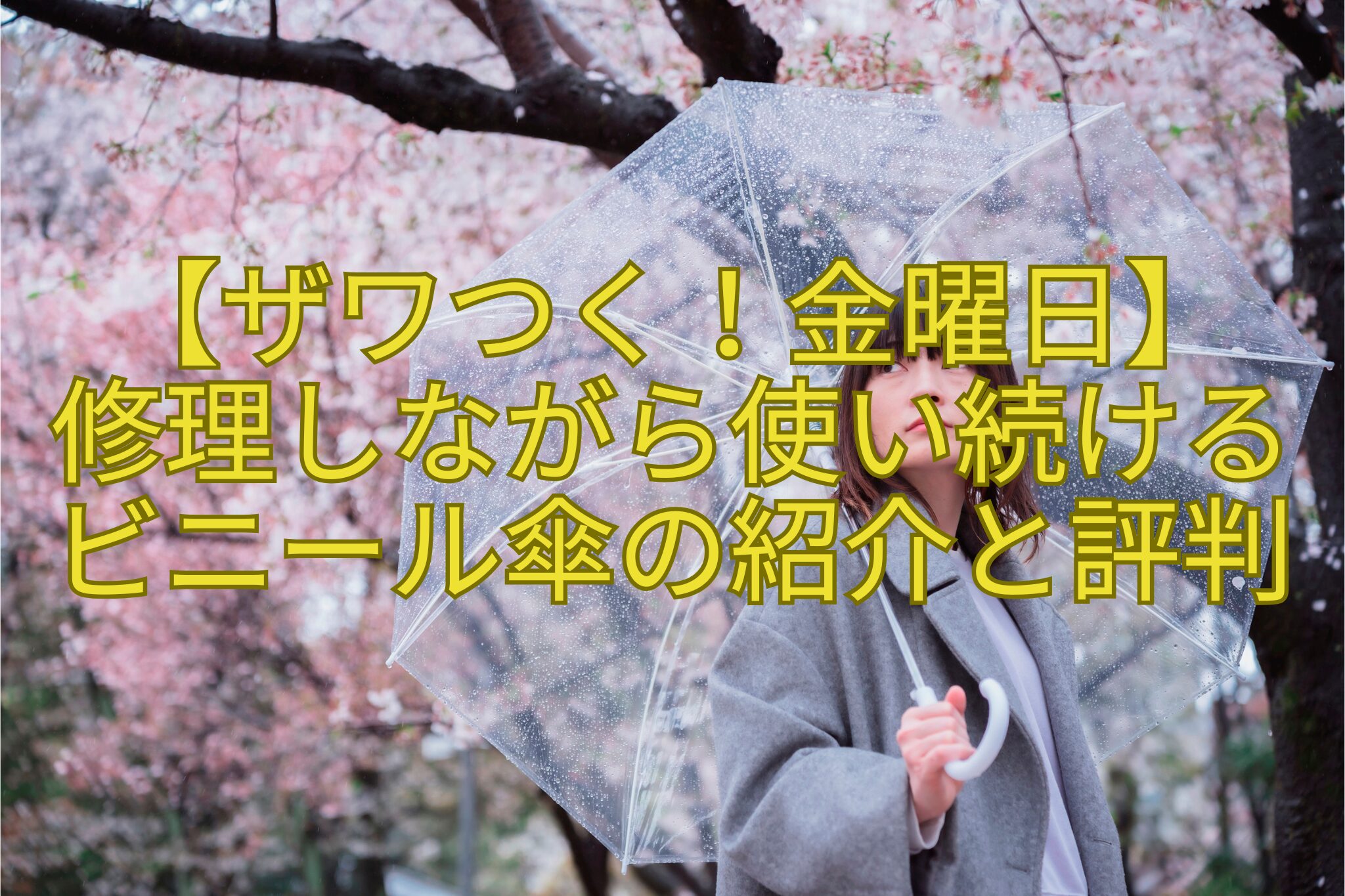 【ザワつく！金曜日】修理しながら使い続けるビニール傘の紹介と評判