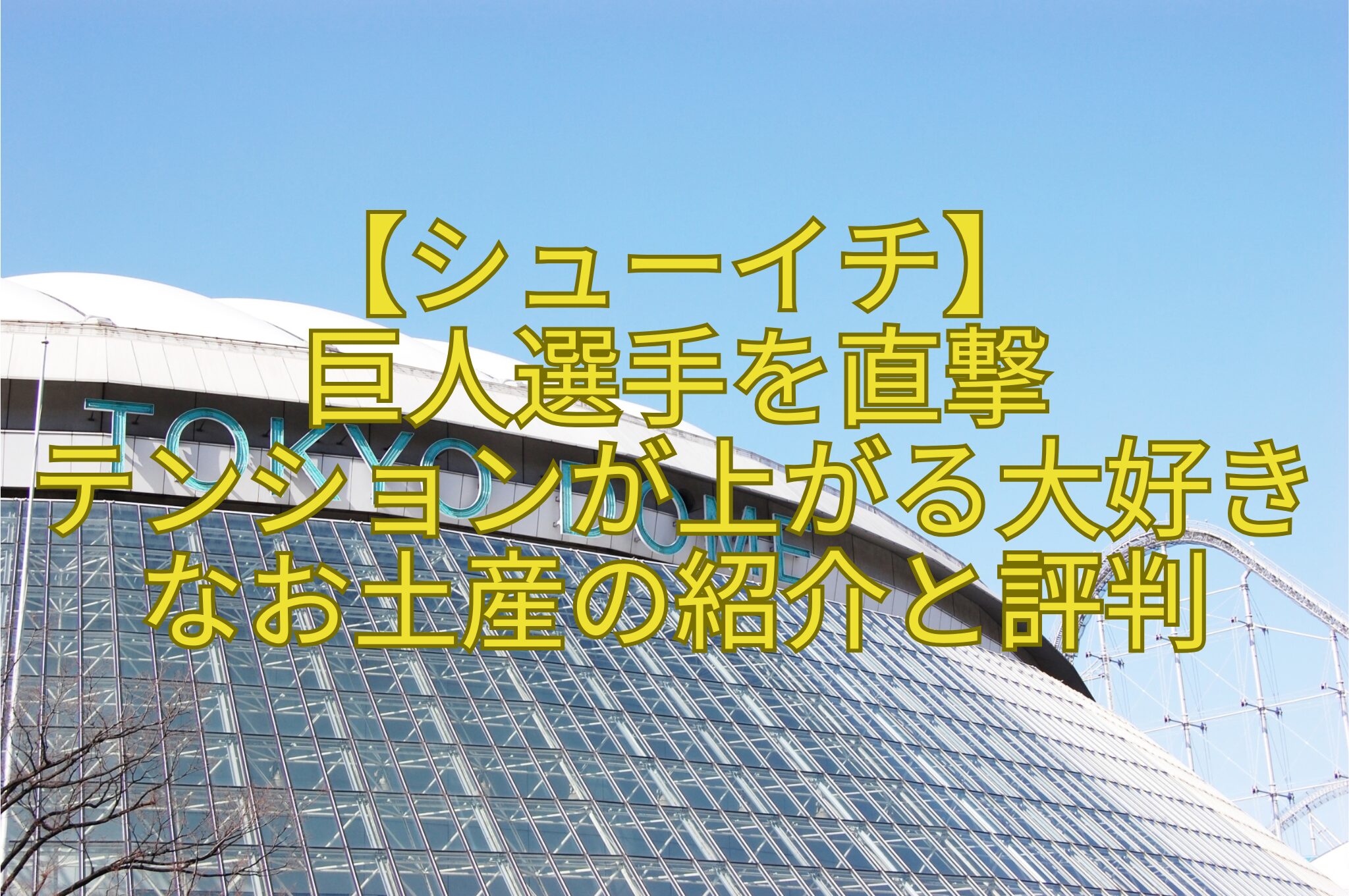 【シューイチ】巨人選手を直撃テンションが上がる大好きなお土産の紹介と評判