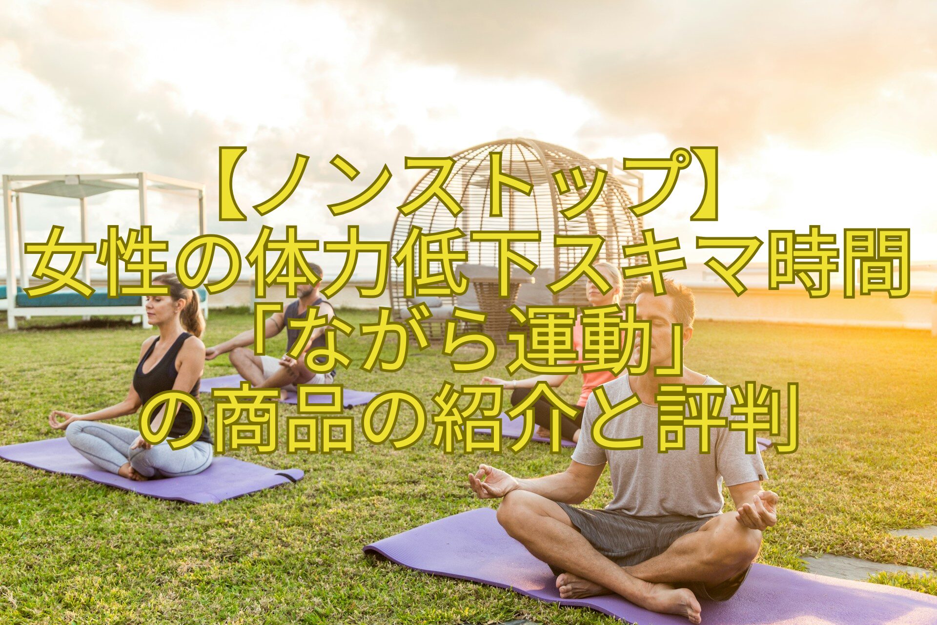 【ノンストップ】-女性の体力低下スキマ時間「ながら運動」-の商品の紹介と評判