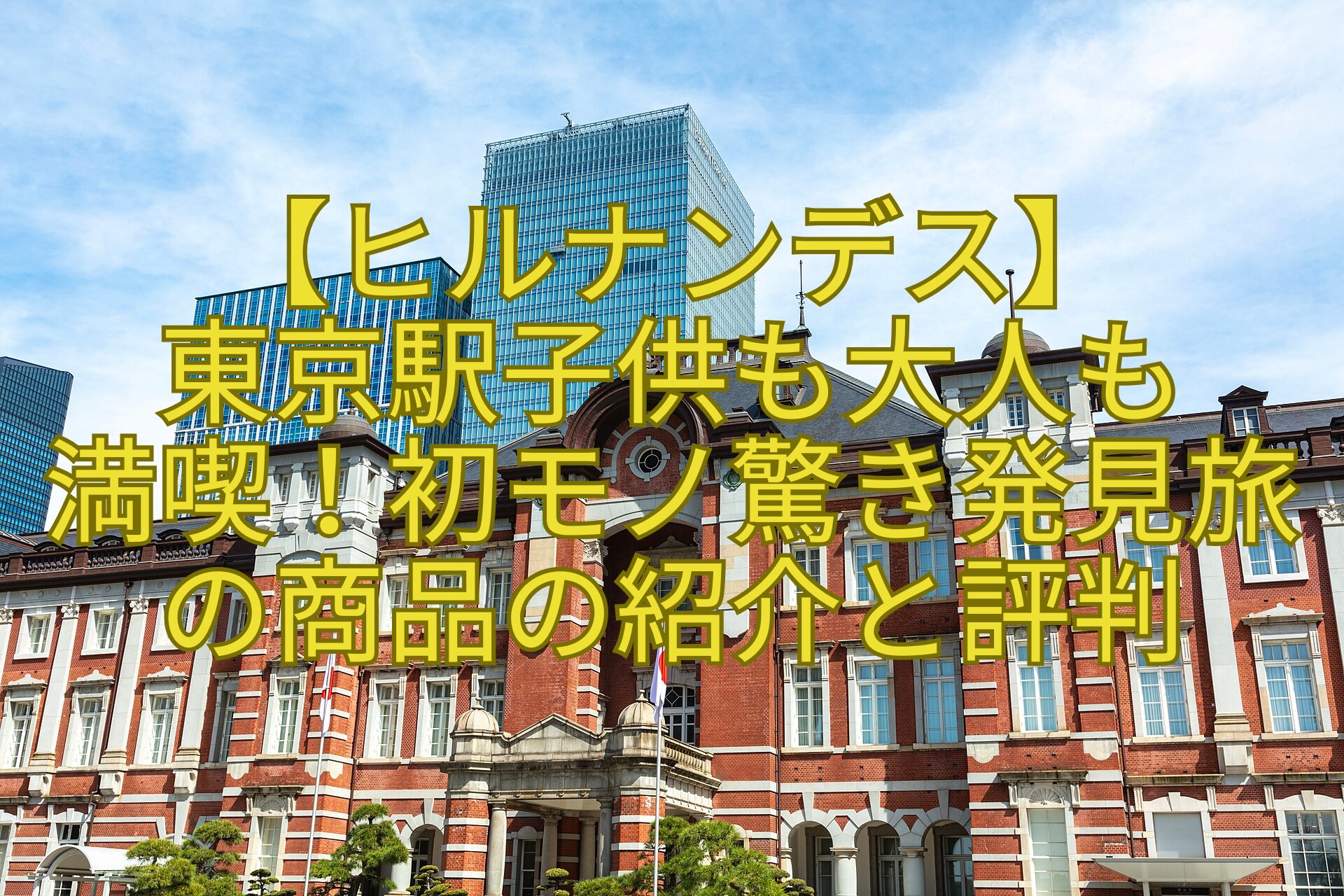 【ヒルナンデス】-東京駅子供も大人も-満喫！初モノ驚き発見旅の商品の紹介と評判