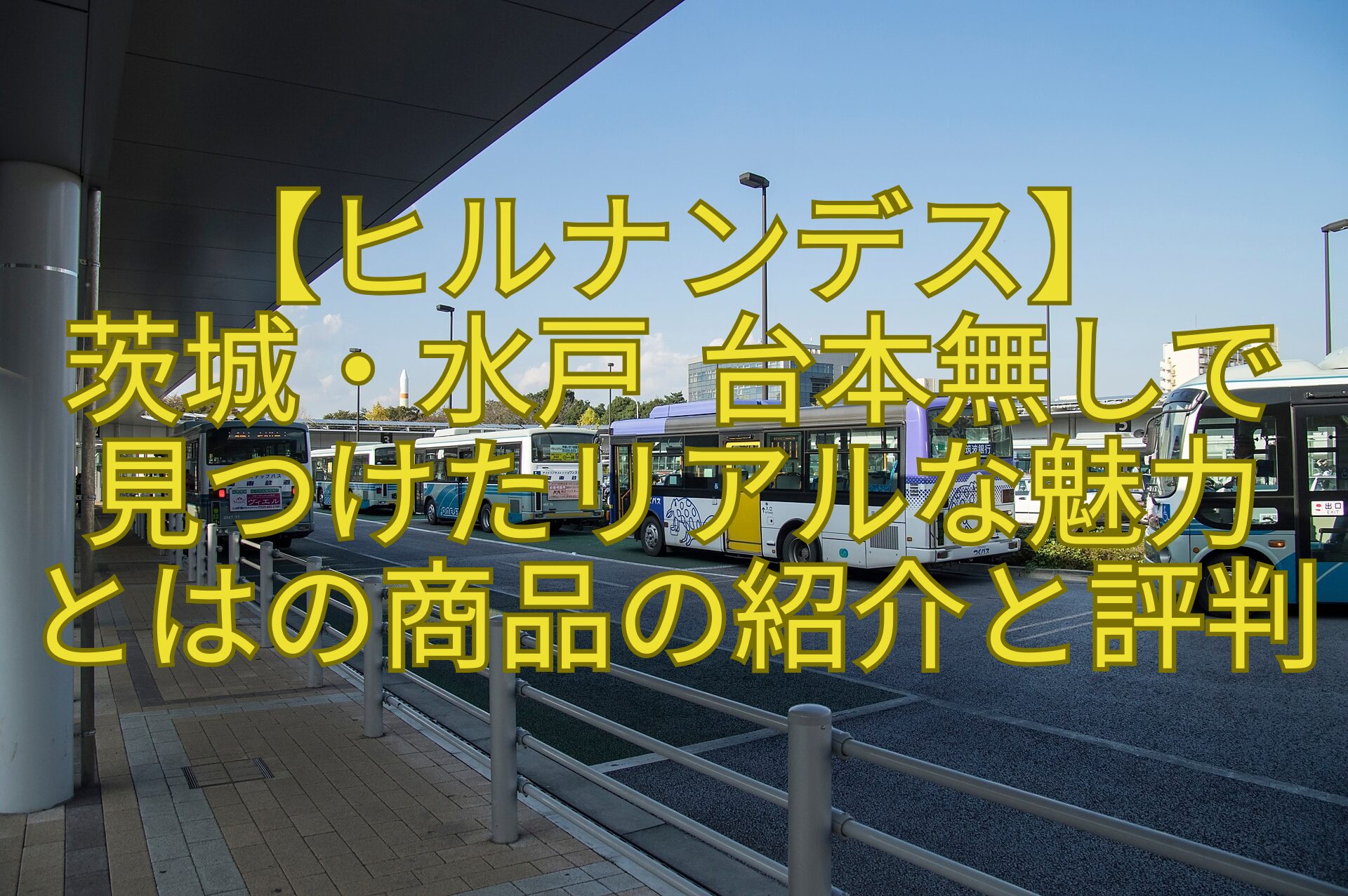 【ヒルナンデス】-茨城・水戸-台本無しで見つけたリアルな魅力-とはの商品の紹介と評判