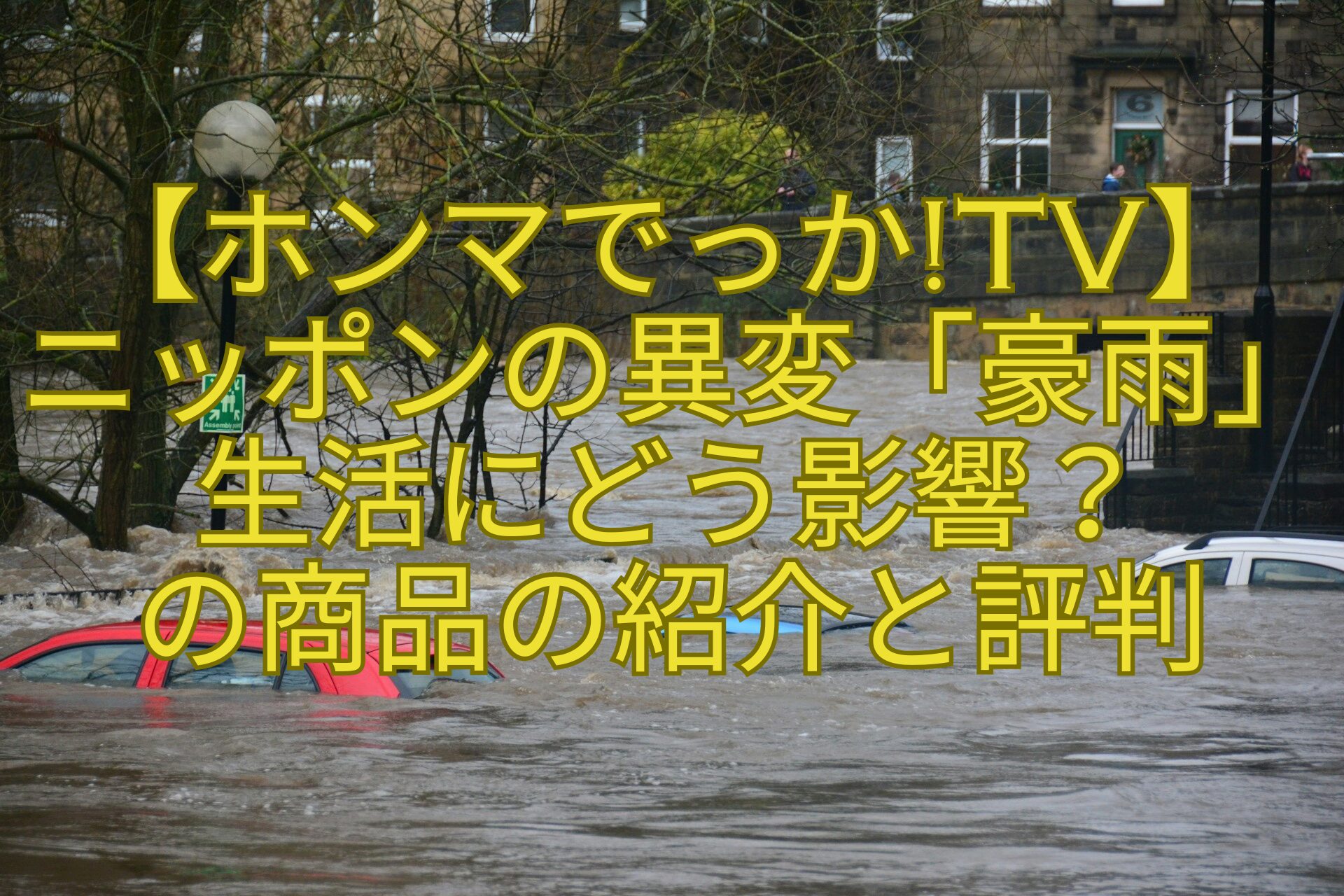 【ホンマでっかTV】ニッポンの異変「豪雨」生活にどう影響の商品の紹介と評判