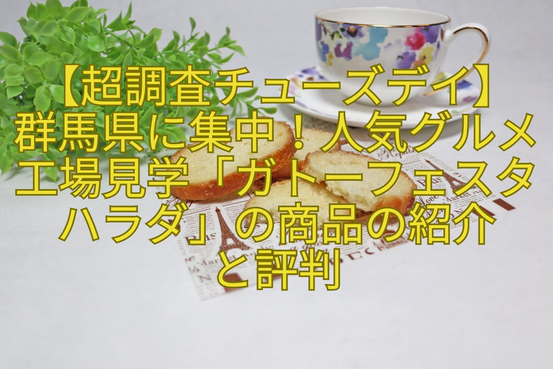 【超調査チューズデイ】-群馬県に集中！人気グルメ工場見学「ガトーフェスタハラダ」の商品の紹介-と評判